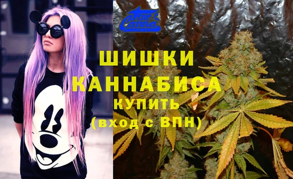 ECSTASY Михайловск