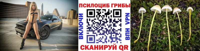 Галлюциногенные грибы прущие грибы  где найти наркотики  Шарыпово 